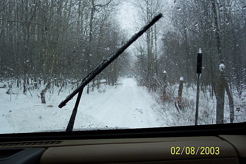 A good wiper shot