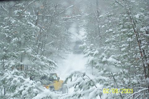 1978 Ford Bronco - A yellow vehicle navigates a snowy forest road during a blizzard.