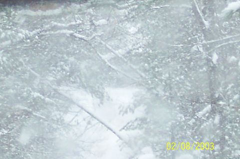 1978 Ford Bronco - A winter scene with snow falling on tree branches, obscuring any potential vehicles.