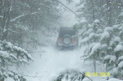 1978 Ford Bronco - A 1978 Ford Bronco navigates a snow-covered path through a dense forest, with snow falling heavily.