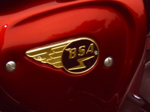 1982 Ford Bronco - BSA side cover.