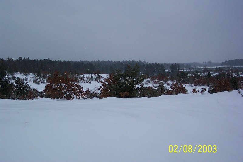 Snowy landscape with pine and deciduous trees under a cloudy sky. Watermark reads SUPERMOTORS