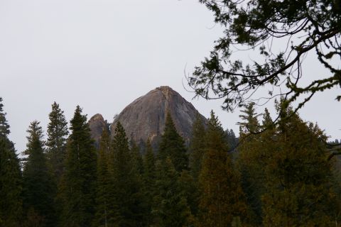 1996 Ford Bronco - A scenic view of a mountain peak rising above a dense forest of pine trees on a cloudy day.