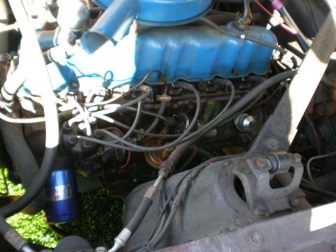 1966 Ford Mustang - Close-up view of an engine bay, showing blue valve covers and a complex arrangement of hoses and wiring.
