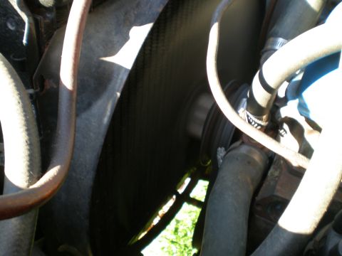 1966 Ford Mustang - Close-up view of engine components, including a fan and hoses.