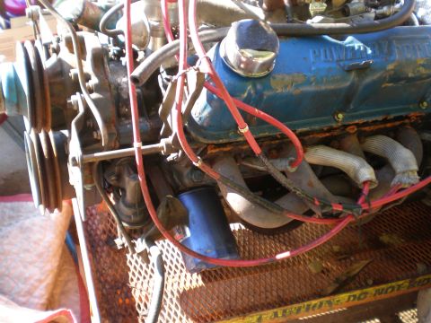 1966 Ford Mustang - Close-up view of a blue engine with visible "POWERED" text on the valve cover and red spark plug wires.