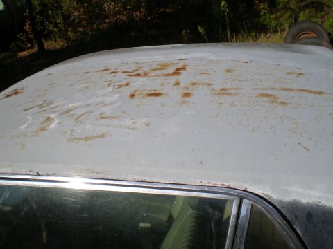 1966 Ford Mustang - Close-up of a 1966 Ford Mustang's roof, showing primer and rust damage.
