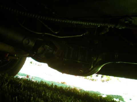 1966 Ford Mustang - Underside view of a vehicle's rear differential and driveshaft assembly.