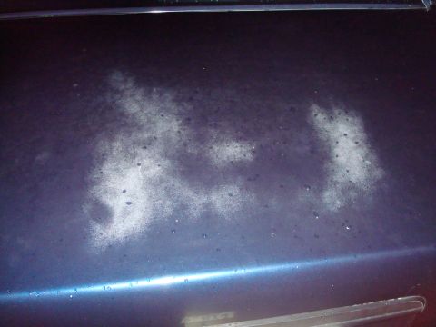 1990 Ford Crown Victoria LTD - :(