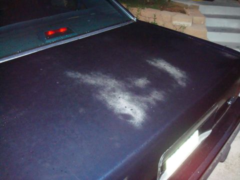 1990 Ford Crown Victoria LTD - another :(