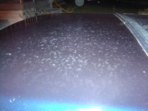 1990 Ford Crown Victoria LTD - Roof