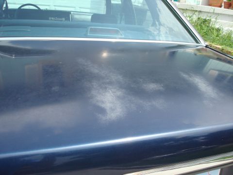 1990 Ford Crown Victoria LTD - Daylight Pic of Trunk.