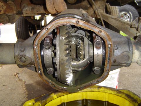 1978 Ford Bronco - Close-up view of an open differential, revealing the intricate gear system and lubricant.