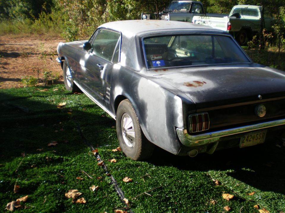 1966 Ford Mustang coupe, rear view, primer finish