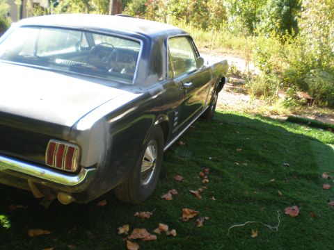 1966 Ford Mustang - The rear taillights and chrome bumper of a classic Ford Mustang are visible from this angle.