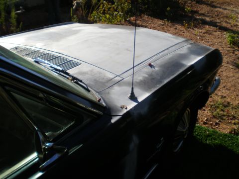 1966 Ford Mustang - Front corner of a 1966 Ford Mustang showing the hood, fender, and antenna.