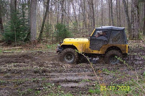 1978 Ford Bronco - A yellow Jeep navigates a muddy forest trail, its tires deep in the muck.
