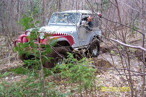 1978 Ford Bronco - A silver Jeep CJ-5, adorned with shark teeth graphics, tackles a challenging muddy path through a dense forest.