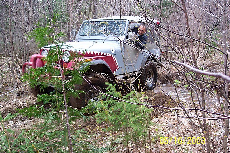 Silver Jeep CJ-5 with shark teeth paint and red bull bars navigating a muddy forest trail