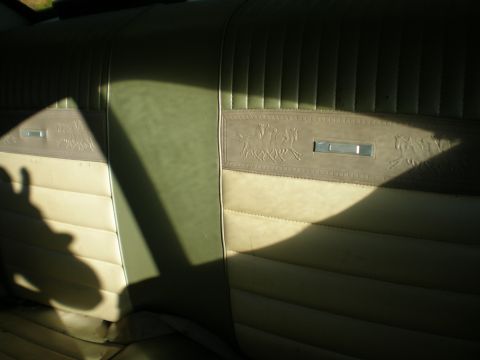 1966 Ford Mustang - Interior view of a 1966 Ford Mustang rear seat, embossed running horses on the trim.