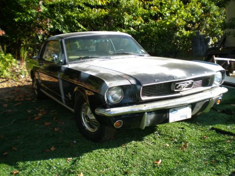 1966 Ford Mustang - A 1966 Ford Mustang is shown parked outdoors on a sunny day.