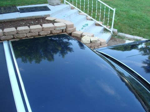 1990 Ford Crown Victoria LTD - Roof pic. turned out better then the trunk.