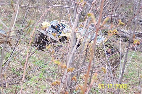 1978 Ford Bronco - An off-road vehicle is stuck in dense brush, with its yellow body visible through the foliage.