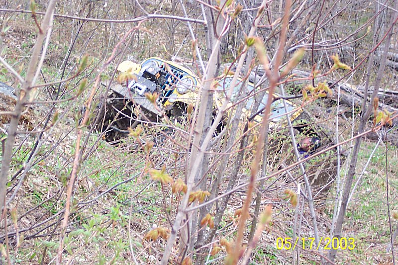Yellow off-road vehicle stuck in brush, partially obscured by branches