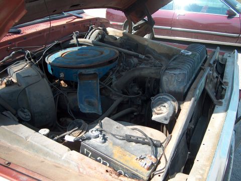 1979 Ford F-250 - The engine bay of a truck is shown with the hood raised, revealing the engine components and a second vehicle in the background.