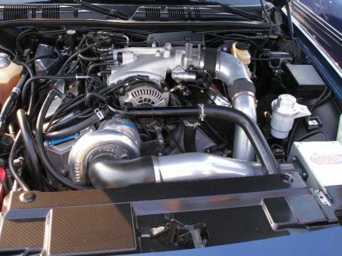 2001 Ford Crown Victoria - Reinhardt Automotive's blue Marauder.