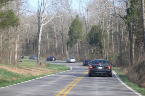 2001 Ford Crown Victoria - Several cars drive along a tree-lined road during a meet.