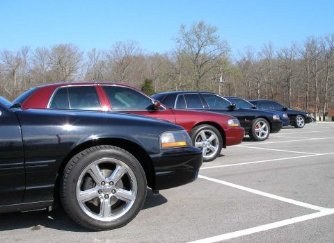 2001 Ford Crown Victoria - A line of Ford Crown Victorias are parked in a lot on a sunny day.