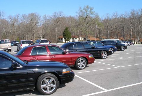 2001 Ford Crown Victoria - Several Ford Crown Victorias are parked in a lot on a sunny day.