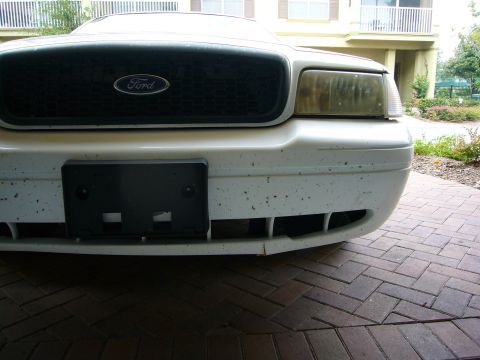2001 Ford Crown Victoria - The front grille of a white Ford Crown Victoria shows the Ford emblem and a black mesh pattern.