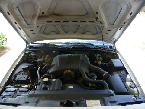 2001 Ford Crown Victoria - The engine bay of a 2001 Ford Crown Victoria is visible with the hood open.