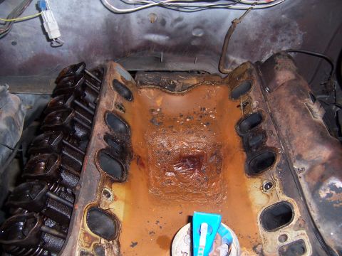 1979 Ford Bronco photo