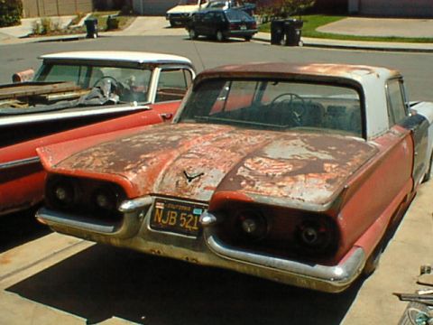 1959 Ford Thunderbird “rotting hulk”