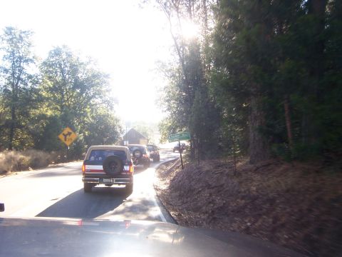 1991 Ford Bronco - Several SUVs, including a 1991 Ford Bronco, travel on a scenic road through a wooded area.