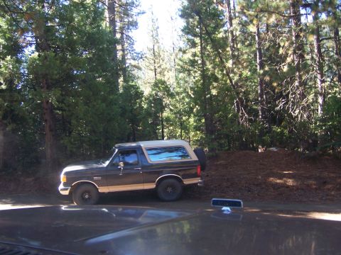 1991 Ford Bronco - A 1991 Ford Bronco is parked on the side of a dirt road, surrounded by trees.