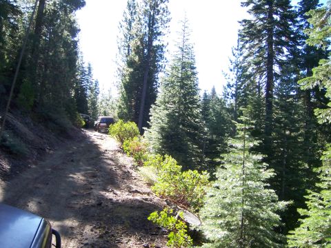 1991 Ford Bronco - Two SUVs navigate a dirt road through a dense forest with tall pine trees.