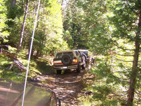1991 Ford Bronco - A convoy of SUVs navigates a wooded trail, with the lead vehicle being a Ford Bronco.