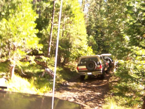 1991 Ford Bronco - Two SUVs navigate a wooded dirt road, one with a spare tire mounted on its rear tailgate.