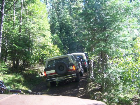 1991 Ford Bronco - Two Ford Broncos navigate a wooded trail, kicking up dust on the path.