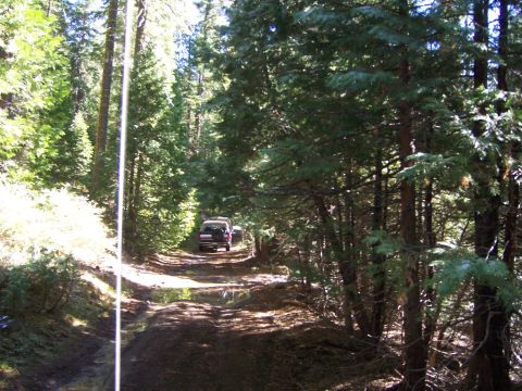 1991 Ford Bronco - Two SUVs navigate a wet and muddy path through a dense forest with tall trees.