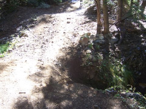 1991 Ford Bronco - A dirt path goes through a wooded area with rocks and greenery.