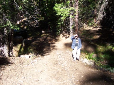 1991 Ford Bronco - A person stands on a sun-dappled forest path, looking off into the distance.