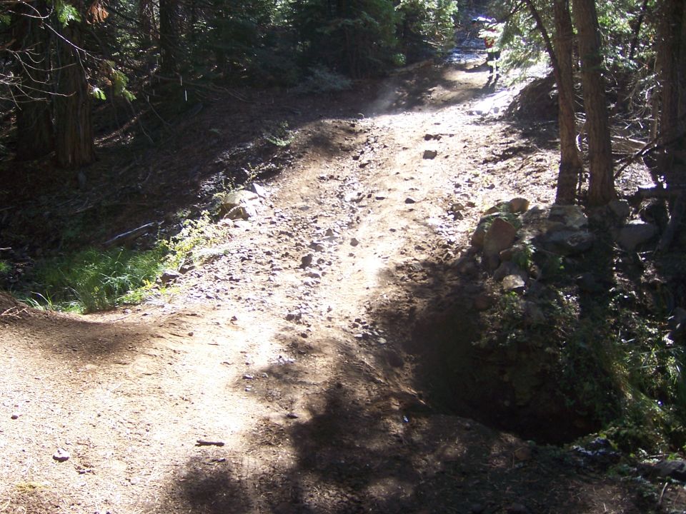 Dirt road winding through a forest with trees and rocks