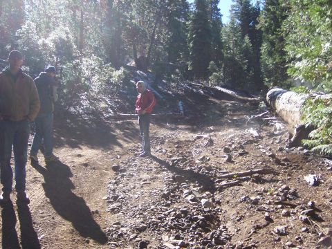 1991 Ford Bronco - People stand in a wooded area with a large fallen tree trunk on the right.
