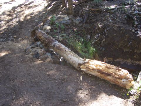 1991 Ford Bronco - A large fallen log lies across a ditch on a dirt path, with rocks piled around its base.