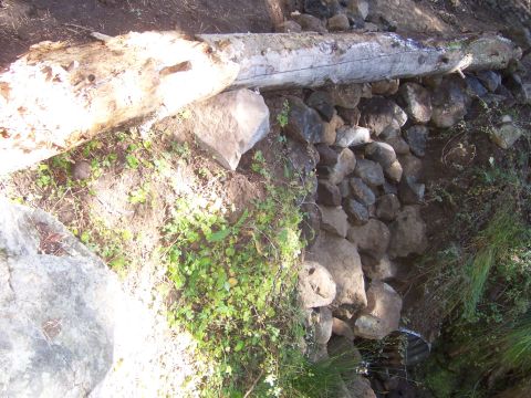 1991 Ford Bronco - A natural scene fallen logs and a rock wall with surrounding vegetation.